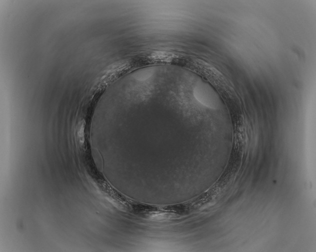 X0000112110504200908181351