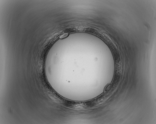 X0000112110505200908181351