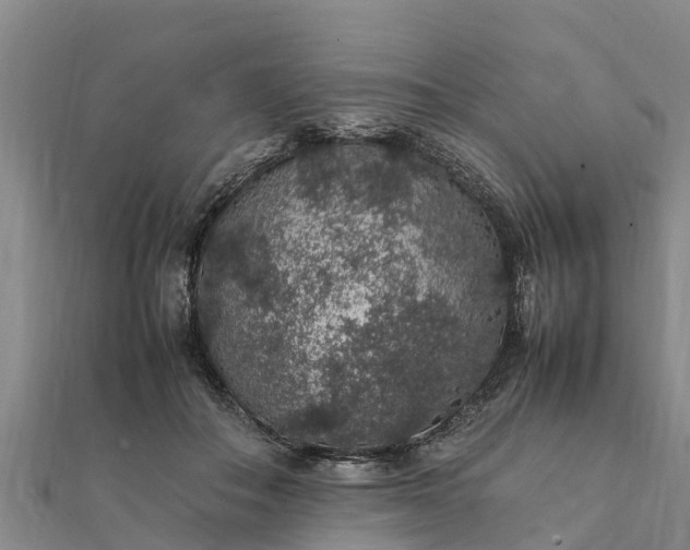 X0000112110506200908181351