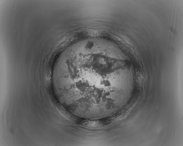 X0000112110507200908181351