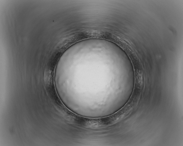 X0000112110511200908181351