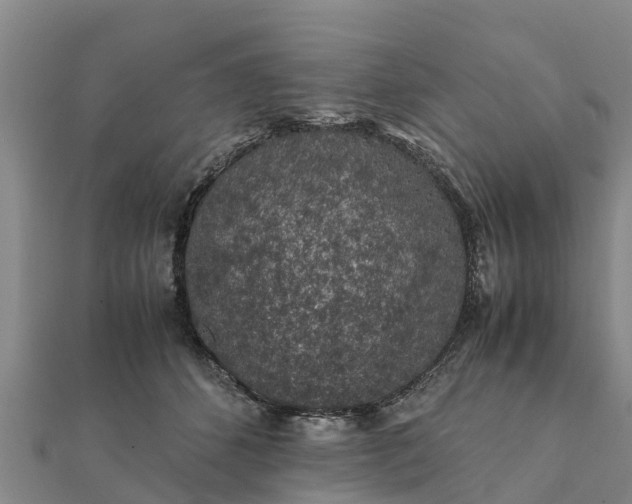 X0000112110512200908181350