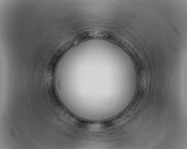 X0000112110513200908181350