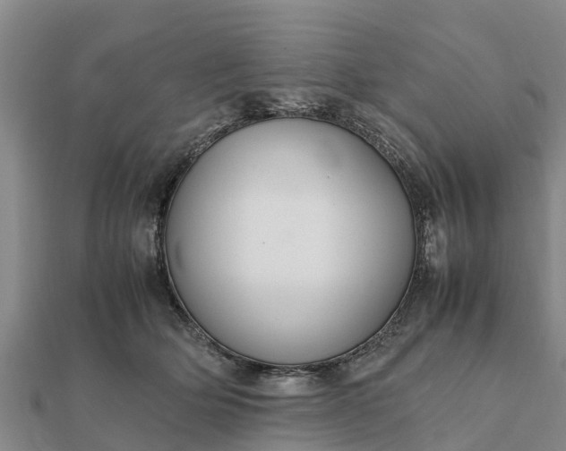 X0000112110514200908181350