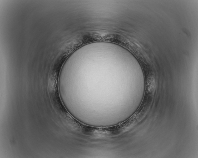 X0000112110515200908181350