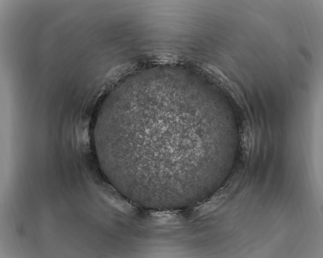 X0000112110516200908181350