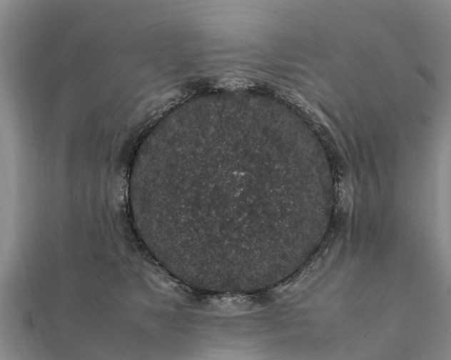 X0000112110517200908181350