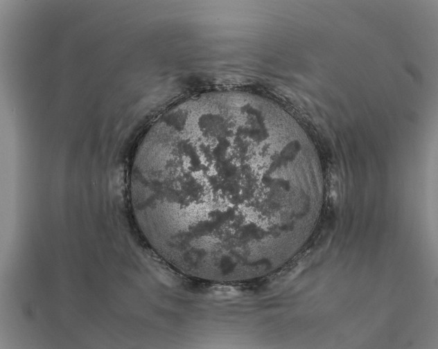 X0000112110519200908181350