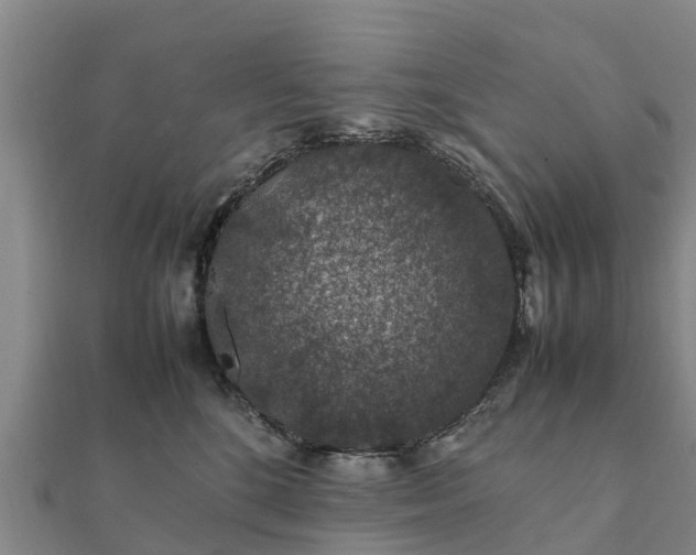 X0000112110520200908181350