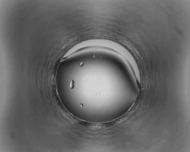 X0000112110521200908181350