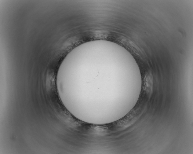 X0000112110522200908181350