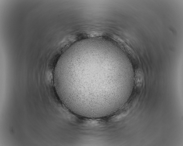 X0000112110523200908181350