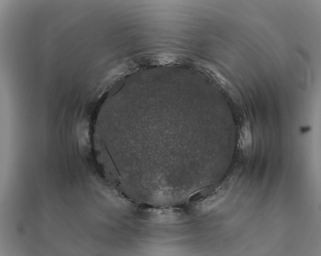 X0000112110524200908181350