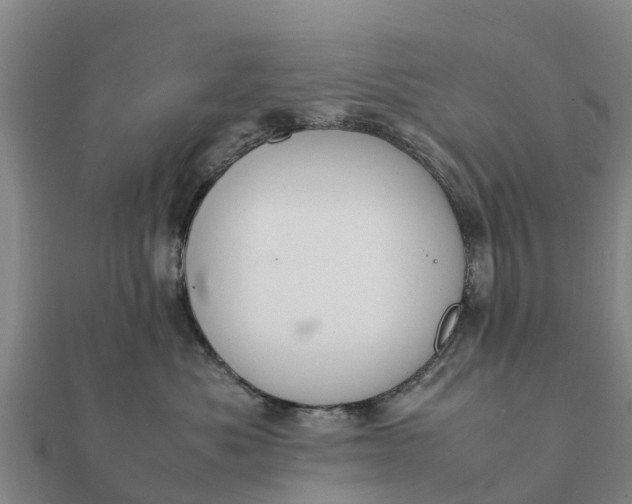 X0000112110525200908181350