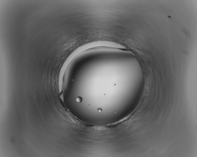 X0000112110528200908181350