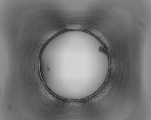 X0000112110529200908181349