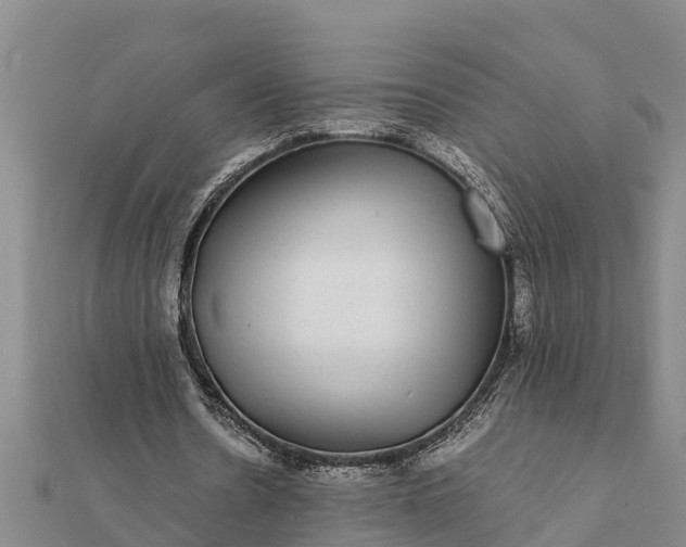 X0000112110530200908181350