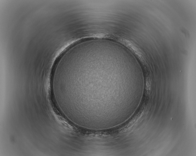 X0000112110532200908181350