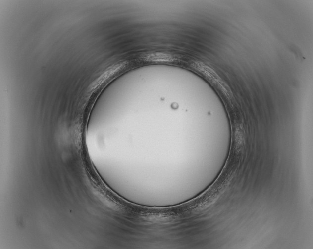 X0000112110533200908181350