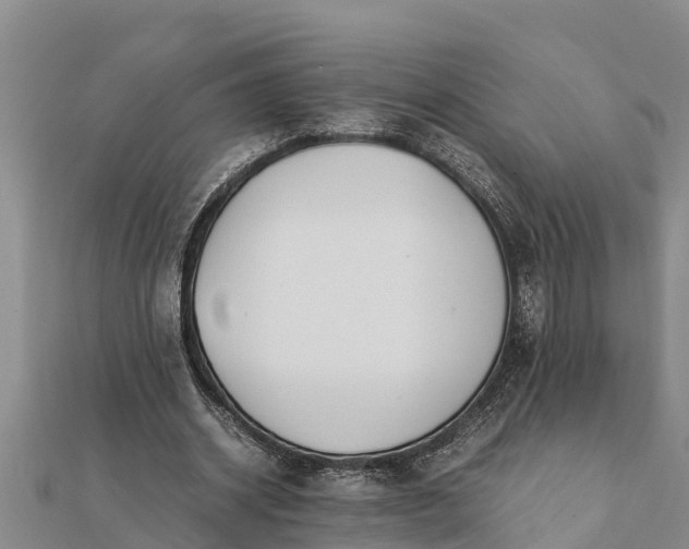 X0000112110534200908181350