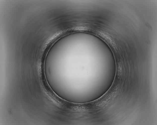 X0000112110535200908181350