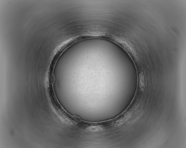 X0000112110536200908181350