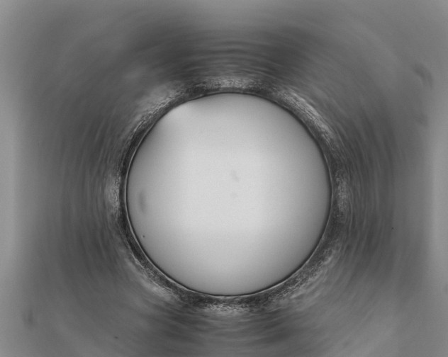 X0000112110537200908181350