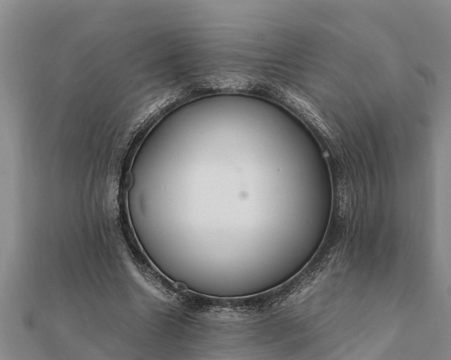 X0000112110538200908181350