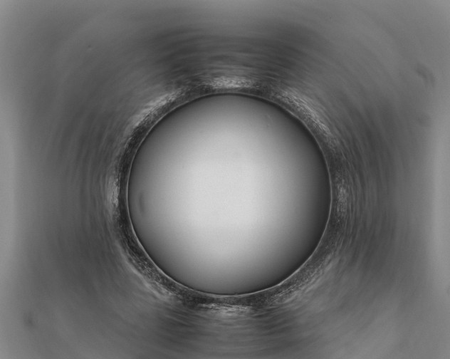 X0000112110539200908181350