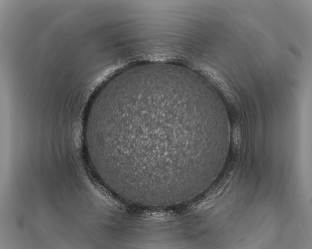 X0000112110540200908181350