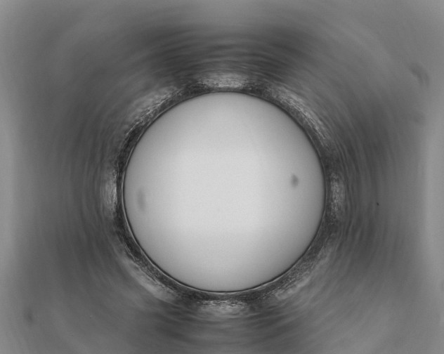 X0000112110541200908181350