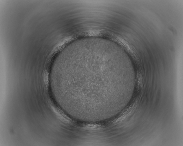 X0000112110542200908181350