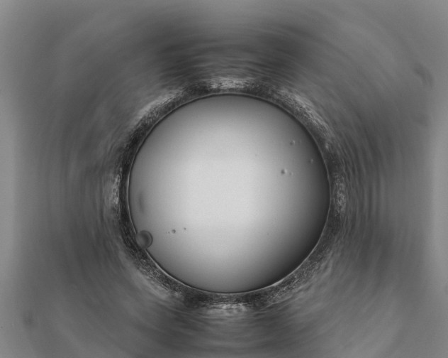 X0000112110543200908181350