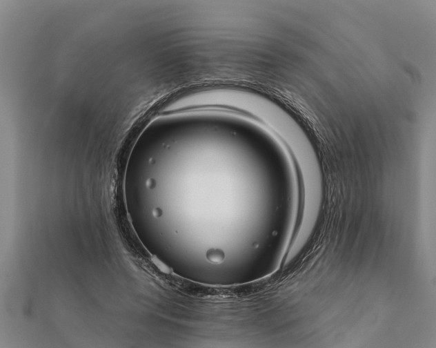 X0000112110544200908181350