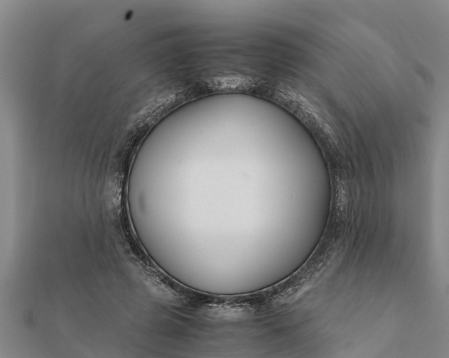 X0000112110545200908181350