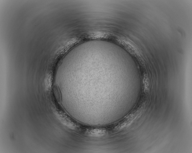 X0000112110546200908181350