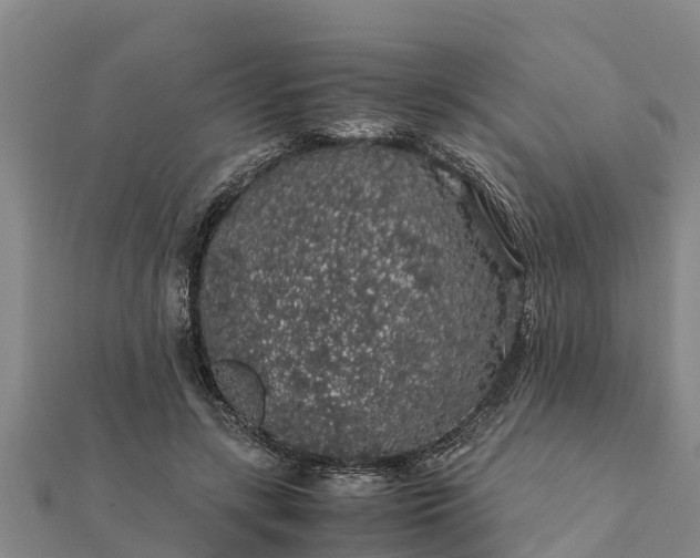 X0000112110547200908181350