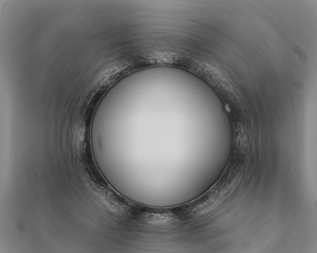 X0000112110548200908181350