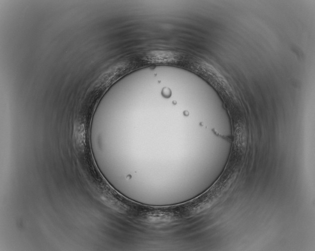 X0000112110549200908181350