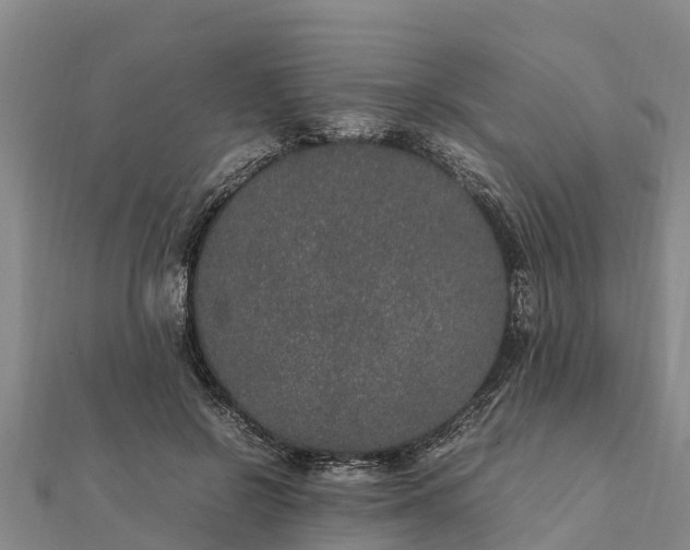 X0000112110550200908181350