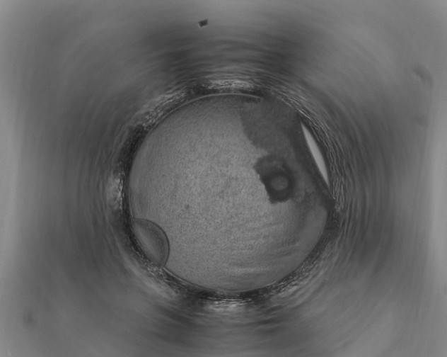 X0000112110551200908181350