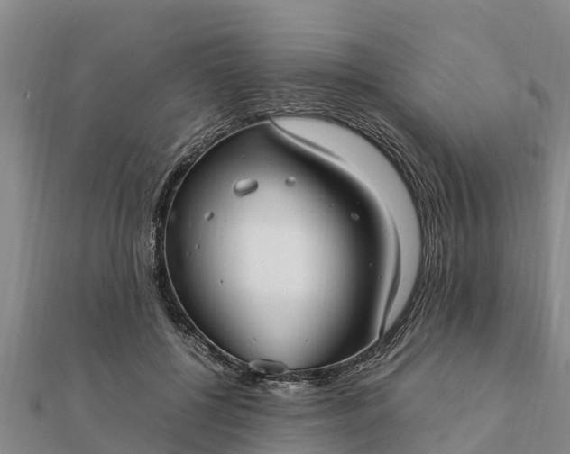 X0000112110552200908181350