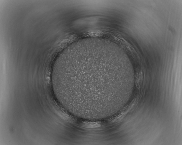 X0000112110553200908181350