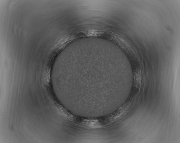 X0000112110554200908181350