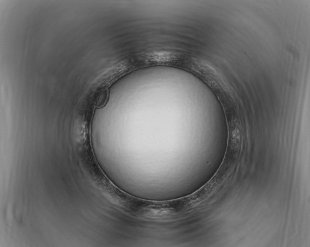 X0000112110555200908181350