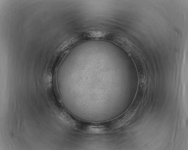 X0000112110556200908181350