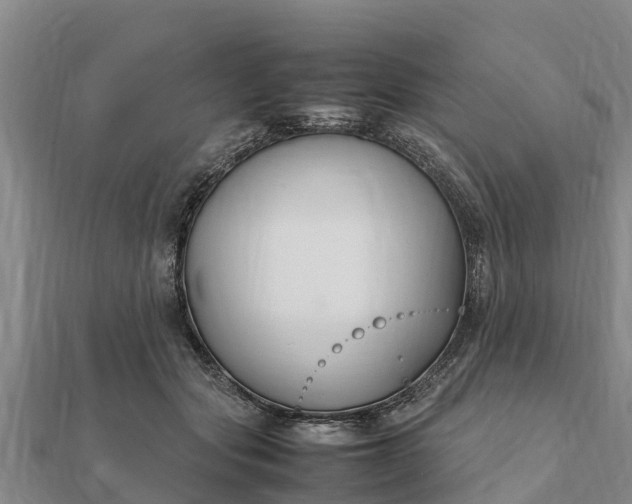 X0000112110557200908181350