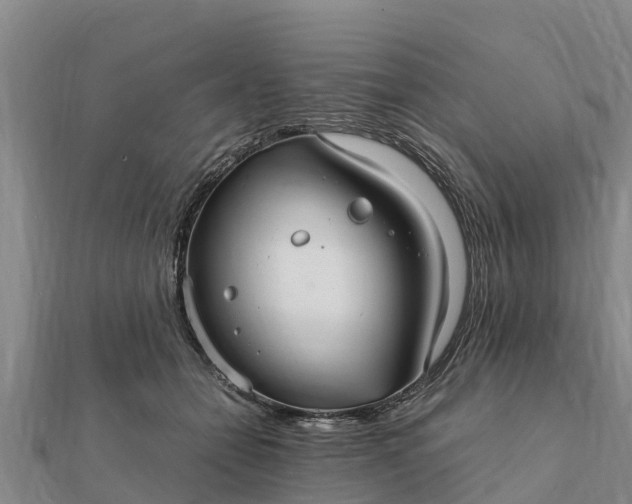 X0000112110558200908181350