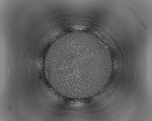 X0000112110559200908181350