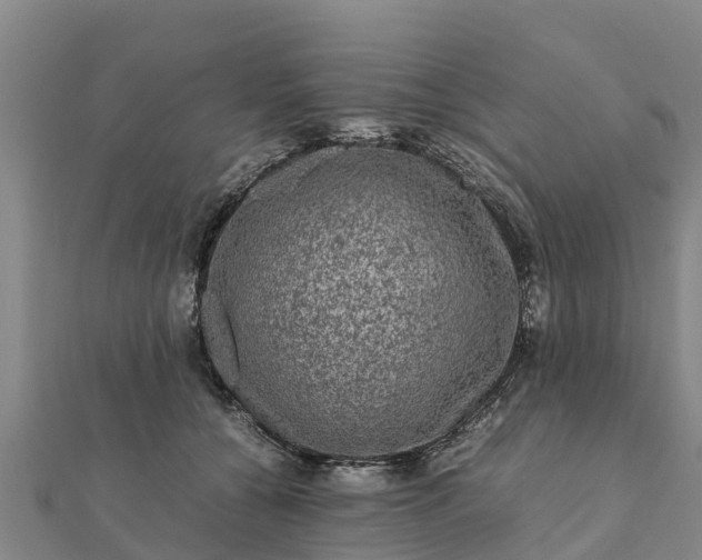 X0000112110560200908181350